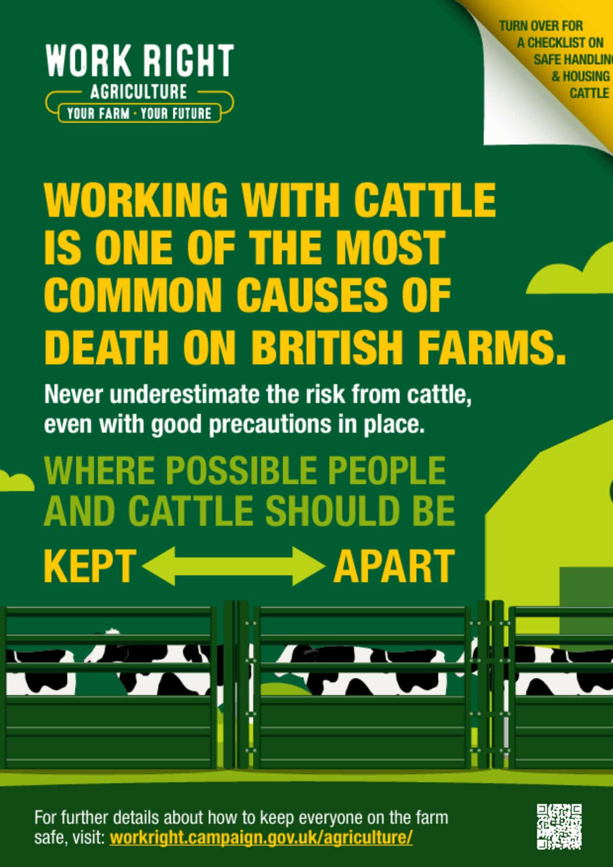 2 Cattle safety warning on British farms poster.